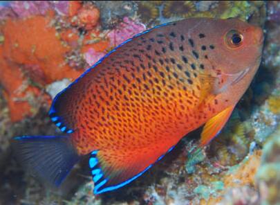 �A�J�n�����b�R