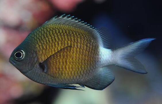 �A�}�~�X�Y���_�C