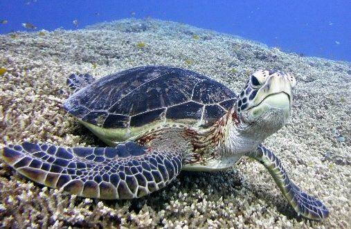 �A�I�E�~�K��