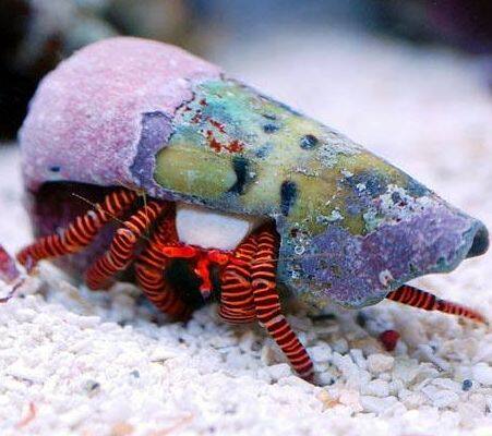 �x�j���������h�J��