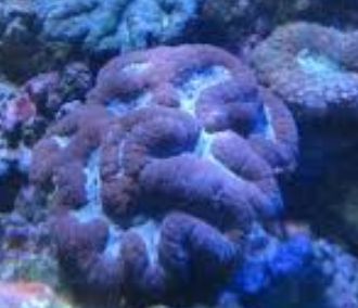 �_�C�m�E�T���S