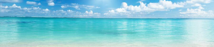 �������[���h�̐���������