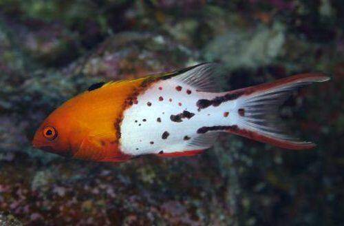 �q�I�h�V�x��