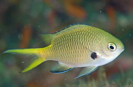 �L�z�V�X�Y���_�C