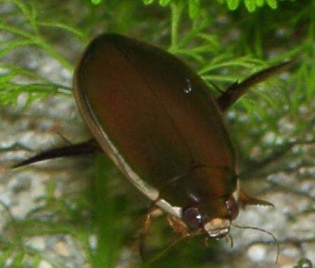 �R�K�^�m�Q���S���E