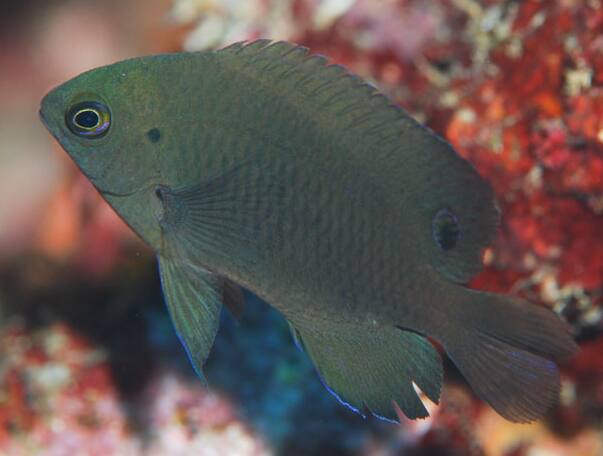 �~�i�~�C�\�X�Y���_�C