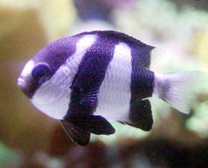 �~�X�W�����E�L���E�X�Y���_�C