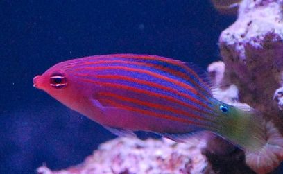 �j�Z���`�m�E�I