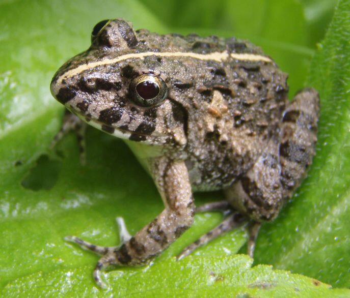 �k�}�K�G��