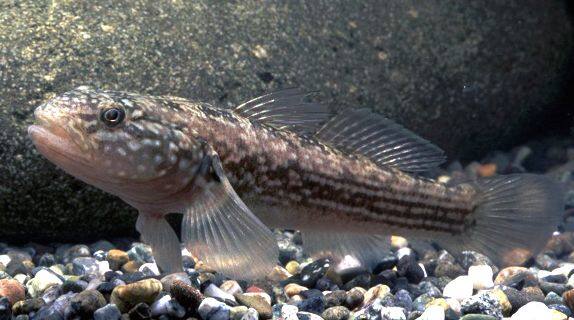 �k�}�`�`�u