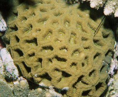 �I�I�J���m�R�L�N���C�V