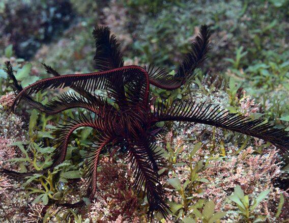 �I�I�E�~�V�_