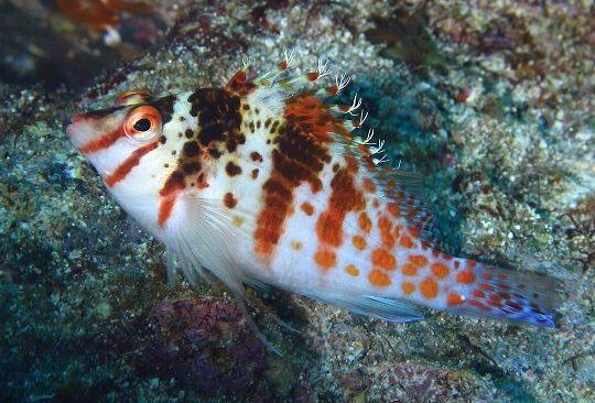 �T���T�S���x