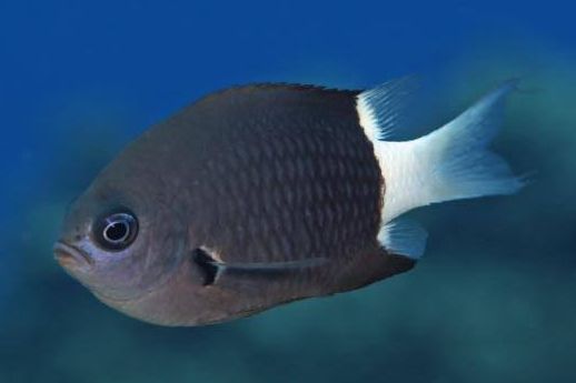 �V�R�N�X�Y���_�C