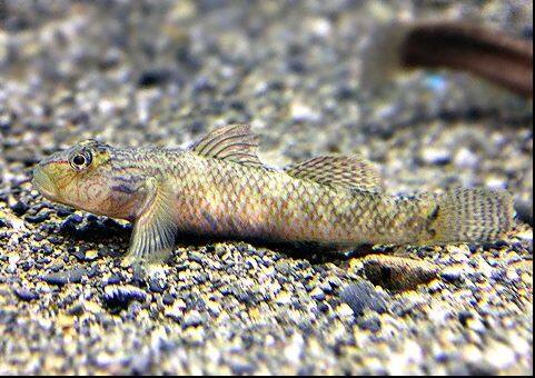 �V�}���V�m�{��