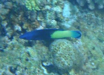 �\�����P�x��