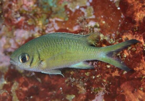 �^�J�T�S�X�Y���_�C