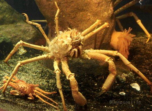 �e�i�K�I�I�z����