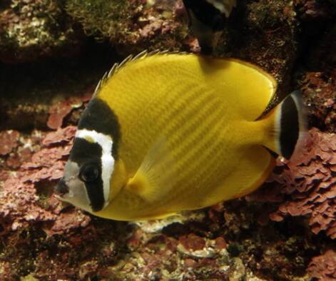 �c�L�`���E�`���E�E�I