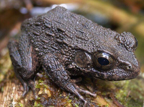 �c�`�K�G��