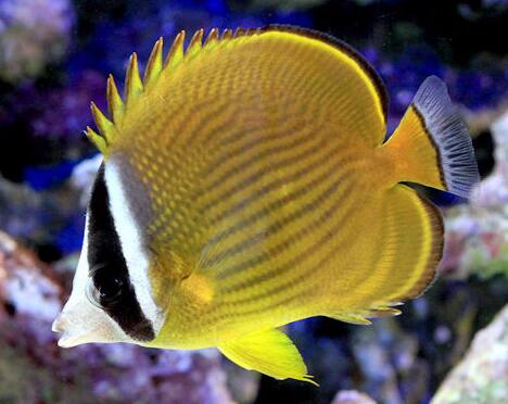 �`���E�`���E�E�I