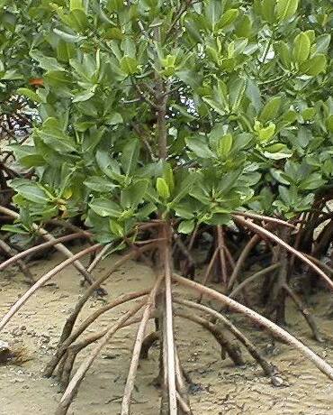 ���G���}�q���M