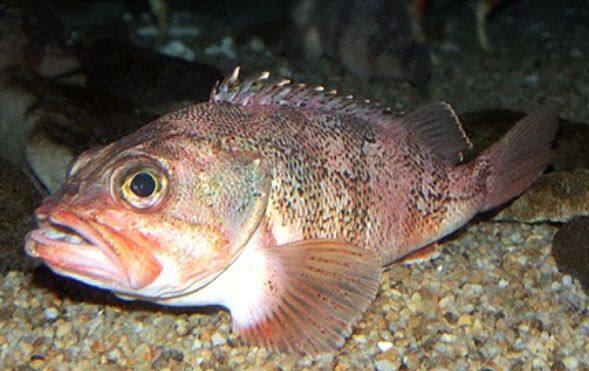 �����J�T�S